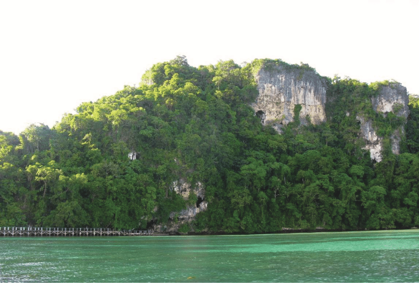 Tabon Cave Historical & Educational Expedition - Quezon Municipality (Southern Palawan) Tour Photo 2