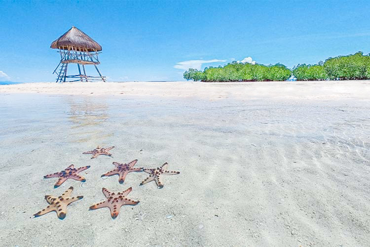 Honda Bay Island Hopping Excursion - Honda Bay, Puerto Princesa Tour Photo 4