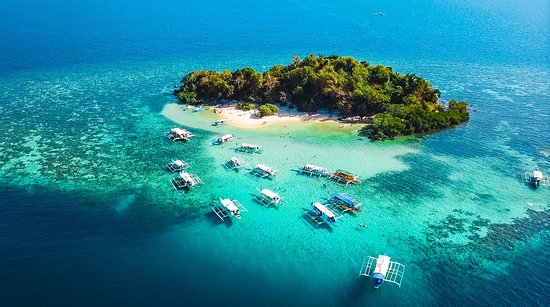 Coron Shipwreck & Reef Dive - Coron, Palawan Tour Photo 1