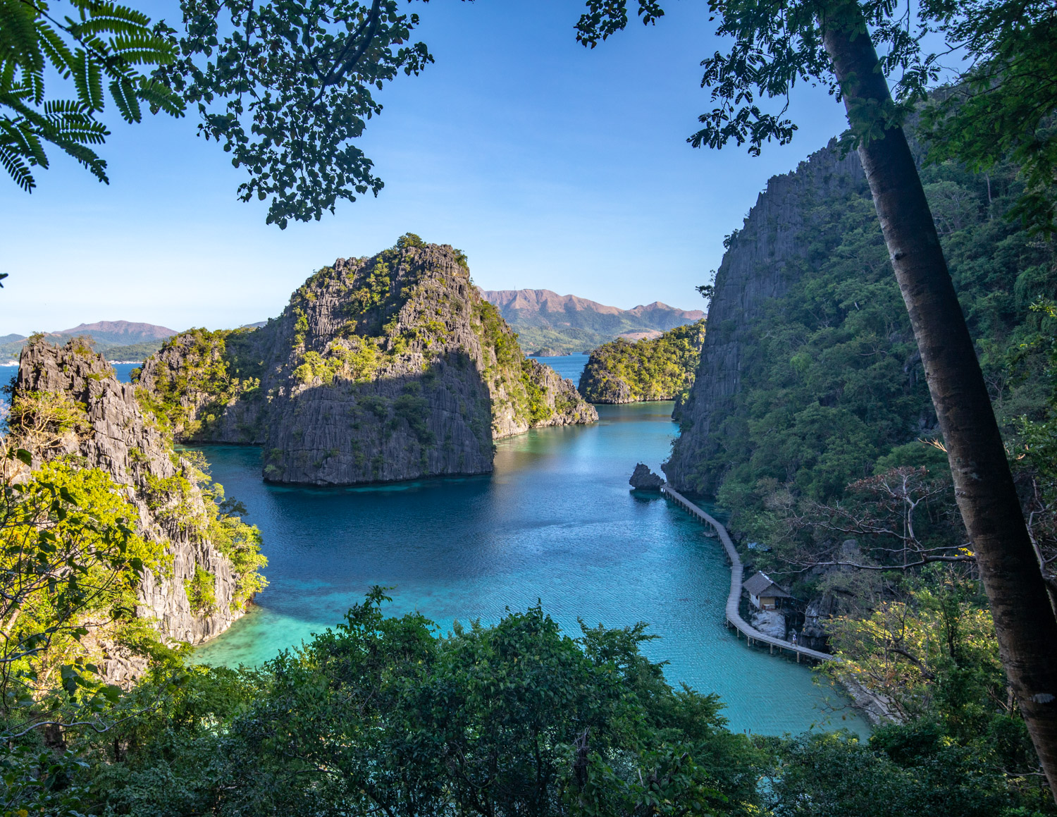Coron Shipwreck & Reef Dive - Coron, Palawan Tour Photo 3
