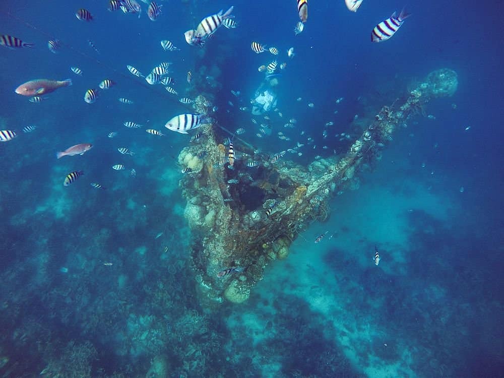 Coron Shipwreck & Reef Dive - Coron, Palawan Tour Photo 5