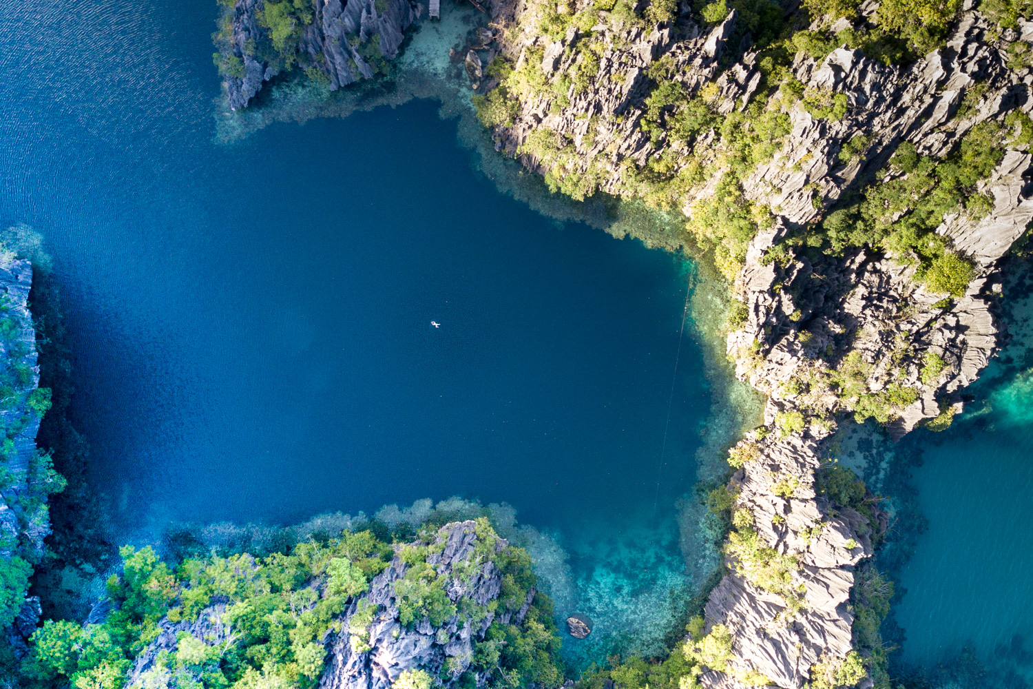 Coron Shipwreck & Reef Dive - Coron, Palawan Tour Photo 6